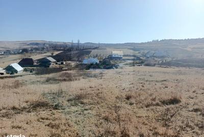 Teren de 8821 mp, în Răucești