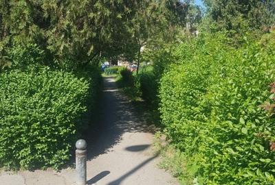 Teren intravilan 719 m.p Timisoara, Bv. Take Ionescu 59 - 5