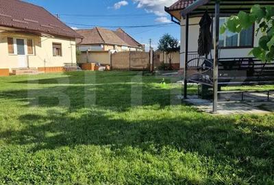 Proprietate cu 2 case in centrul localitatii Ogra - 19