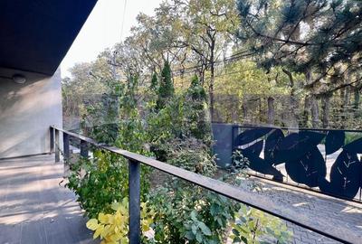 VANZARE VILA SPECTACULOASA | BANEASA | 380MP | VEDERE PADURE | PARCARE - 32