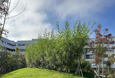 Apartament cu 2 camere decomandat în Străulești - 9