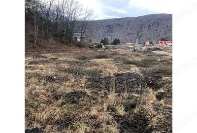 Teren de 39000 mp, în Azuga