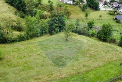 Teren de 6865 mp, în Voroneț - 1