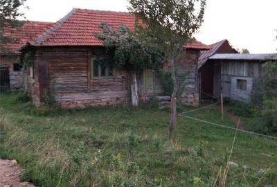 Casă cu 6 camere cu Teren 1200 Mp în Damiș - 6