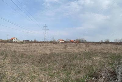 Teren de 40000 mp, în Plopi