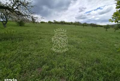 Teren de 24000 mp, în Galații Bistriței - 4