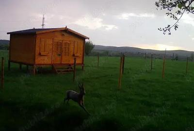 Teren de 16800 mp, în Sibiel - 1