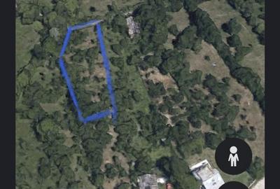 Teren de 1250 mp, în Exterior Vest - 2