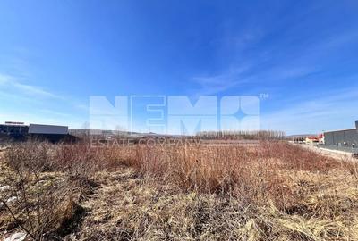 Vanzare I tTerenIntravilan I Suceava/Itcani I 18650 Mp I 89Euro/Mp - 4