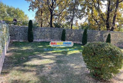 Vila Moderna Ostroveni mobilata utilata - 6