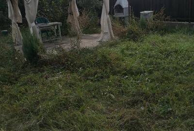 Vand casa batraneasca in Prajesti 77m2,plus 2 anexe gospodare?ti cu teren 4900m2 - 4