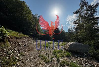 18000 mp de natura pura ,Lupeni, langa Straja - 17