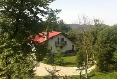 Casă cu 6 camere cu Teren 6200 Mp în Provița de Jos - 3