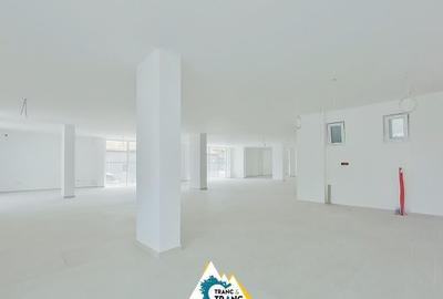 Spațiu comercial, de 290 mp, în Micălaca - 4