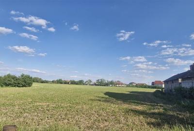 RECO Teren intravilan 5946mp in Les - 5