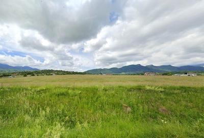 Teren agricol intravilan de 10000 mp, în Tohanu Nou