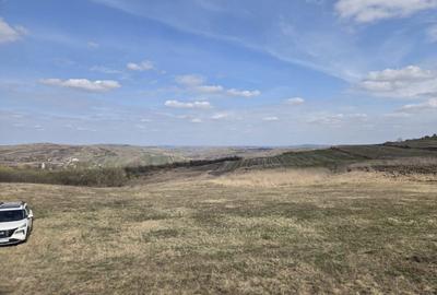 Teren agricol extravilan de 11500 mp, în Pata - 1