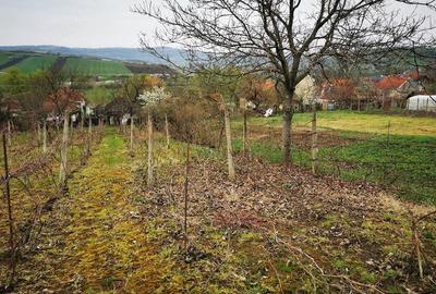 Casă cu 2 camere cu Teren 2800 Mp în Camăr - 6