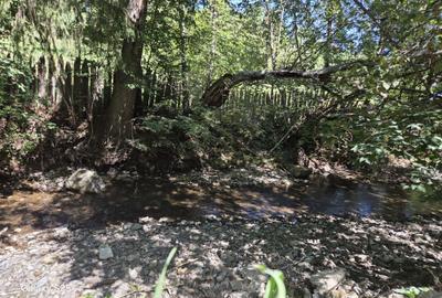 Spațiu comercial, în Sadova - 3