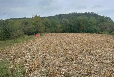 Casă cu 4 camere în Tauț - 6