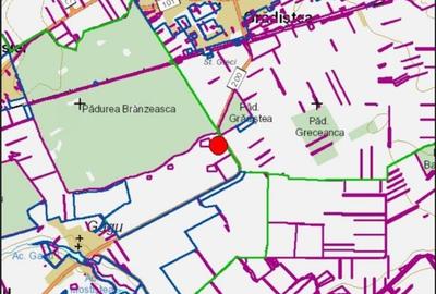 Vanzare teren Moara Vlasiei - Padurea Branzeasca, DJ200 - 2