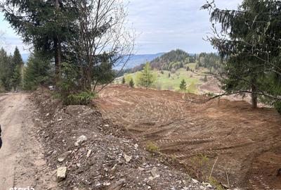 Spațiu comercial, în Dârlești - 3