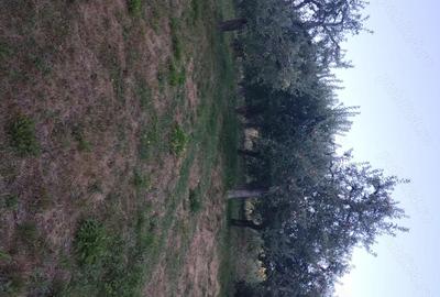 Teren de 9800 mp, în Pietrari - 3