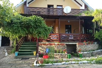 Casă cu 3 camere cu Teren 2000 Mp în Mitocu Dragomirnei - 8