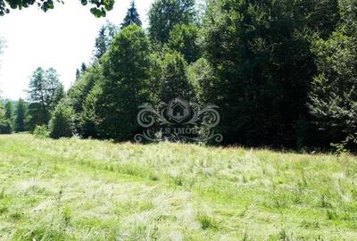 Teren Construcții extravilan de 6500 mp, în Albeștii de Muscel