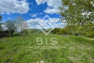 Teren de vânzare zona Valea Ghinzii - 3