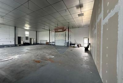 Spatiu industrial de 300mp de inchiriat - 3