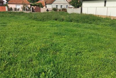 Teren de 808 mp, în Vladimirescu - 3