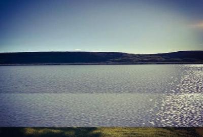 Teren de 131000 mp, în Piersica - 8