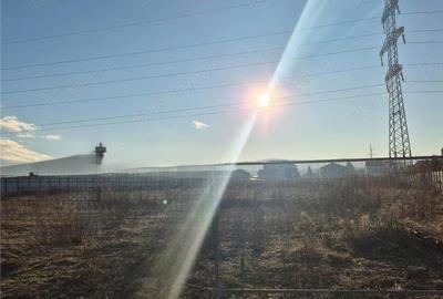 Teren de 10600 mp, în Viișoara - 1