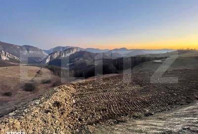 Teren de 5200 mp, în Ponor - 3