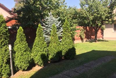 Spațiu comercial, de 25 mp, în Gării - 8