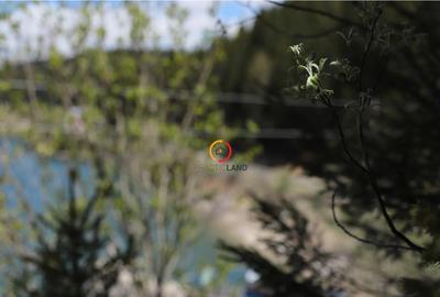 Terenuri speciale Padina Busteni, sunt dispuse ca o veritabi - 2