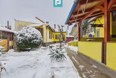 Casă individuală cu 4 camere cu Piscina în Pârneava - 25
