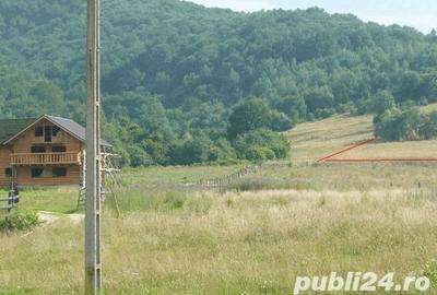 Teren de 10000 mp, în Râșnov - 2