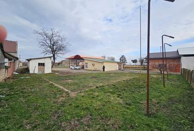 Gotlob hala utilaje casa p+m teren 2507 mp - 7