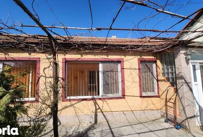 Casă cu 3 camere decomandat cu Canalizare în Viile Noi - 3