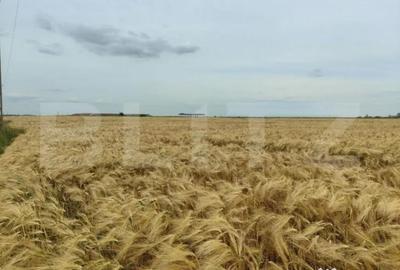 Teren de 390000 mp, în Central - 6