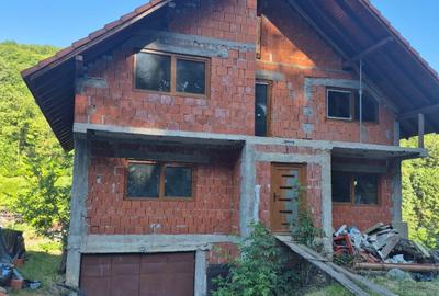 Ilba, casa caramida, 40 ari teren - 1