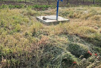 Teren de 730 mp, în Dudeștii Noi - 3