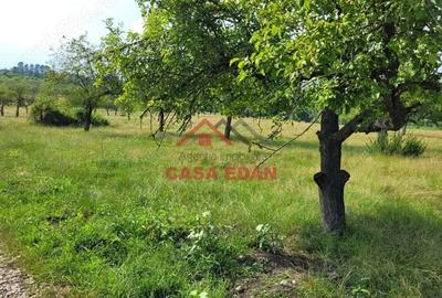 Teren intravilan in Campina, 1490mp--26.820e - 9