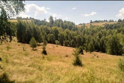 Spațiu comercial, în Petros - 2