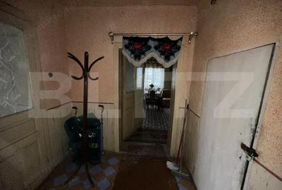 Teren 3000 mp + 2 case de vanzare-Ca?eiu - 4