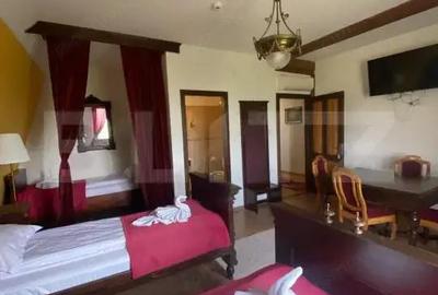 Casă cu 7 camere cu Teren 3000 Mp în Central - 9