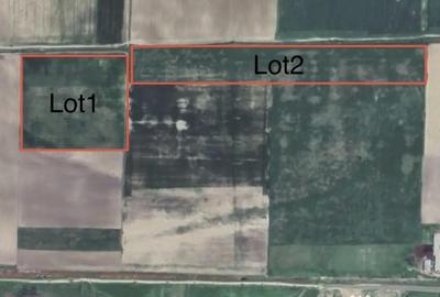 Teren de 25000 mp, în Muchea - 2