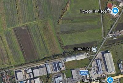 Teren de 4000 mp, în Ghiroda - 2
